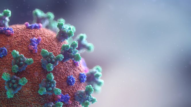Caring for Yourself During the Pandemic