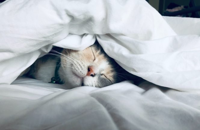 Sleep Hygiene