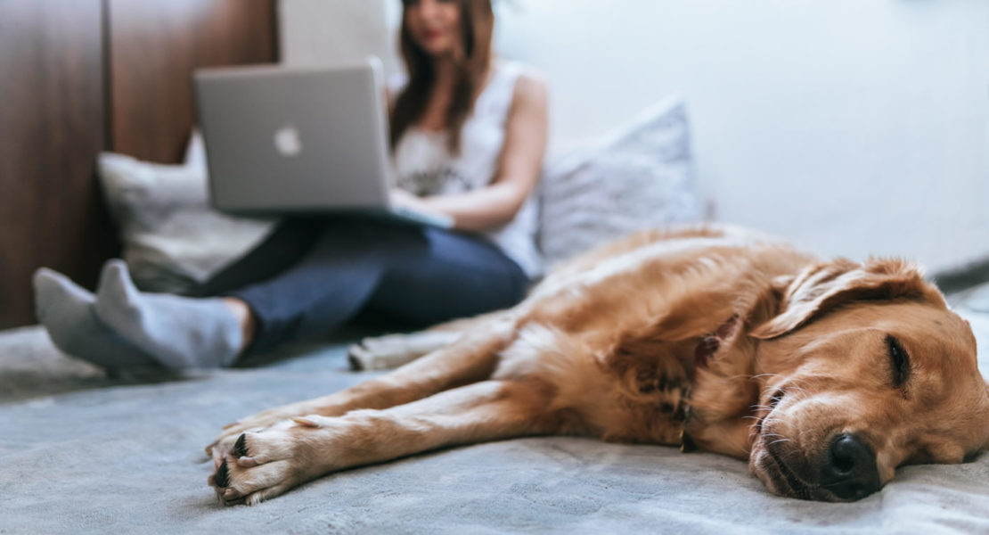 Why Choose Online Mental Health Counseling?