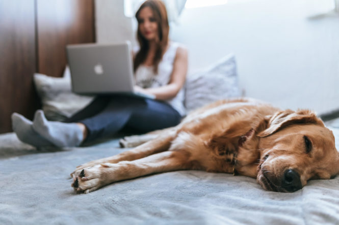 Why Choose Online Mental Health Counseling?